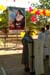 DSC07799