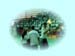 serafin_010