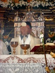 Bodas de Oro 026
